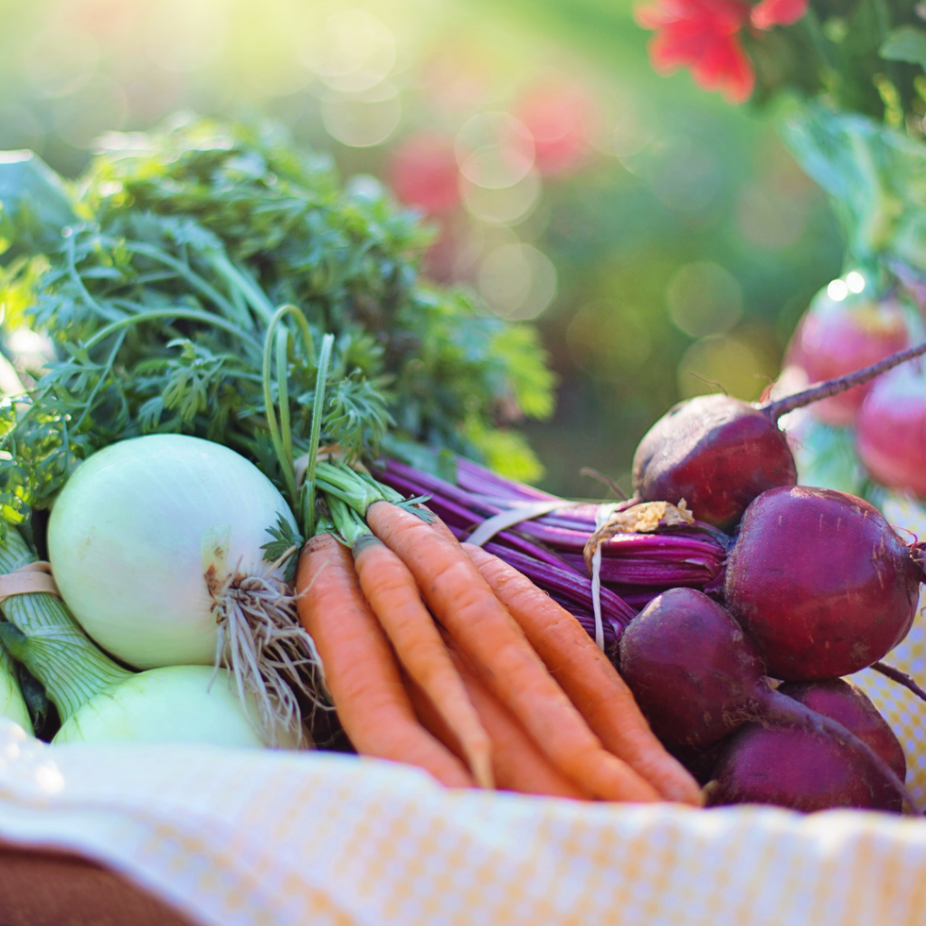 verduras